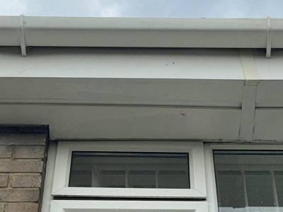 soffit and fascia cleaning swindon